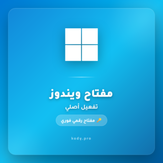 ويندوز 11 برو – مفتاح أصلي (OEM)